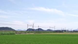 新緑の中、駆け抜けるクマイチ(EF210-901)