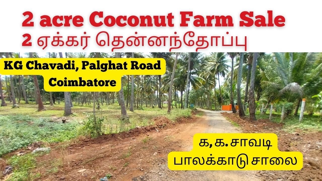2 acres Coconut Farm sale, KG Chavadi, Palghat Rd, Coimbatore 