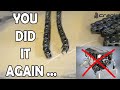 Broken Timing Chain BMW M57 E63 635d