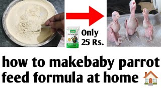 how to make baby parrot feed formula at home || baby parrot feeding