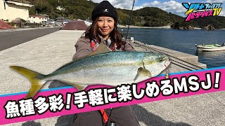 豊富な魚種が釣れる！愛媛県愛南町で話題のＭＳＪに挑戦！そして、まさかの○○○が！（ソルパラTV）
