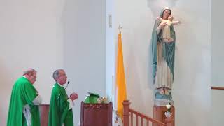 The Seventeenth Sunday in Ordinary Time (07/26/26)