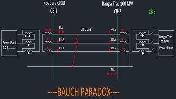 BAUCH PARADOX --- Why we need zero sequence filtering in Differential Protection.