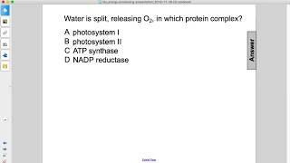 Bio Energy Processing Q37