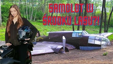 ŁOŚ Z DŁUTOWSKIEGO LASU