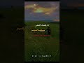 انــتــظــرت كــثــيــرا اقتباسات عبارات كلمات خواطر ريلز ر