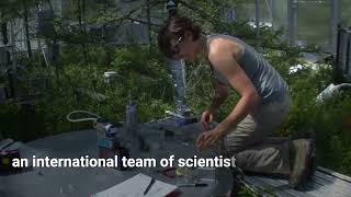Spruce & Peatland Responses Under Changing Environments (SPRUCE)
