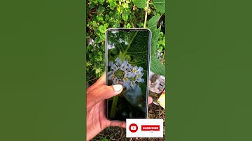 vivo y22 #drive# camera😲😲 test trending#viralshortvideo#🔥🔥🔥sagorphotography I