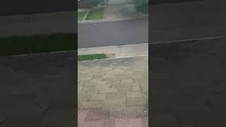 Denver, Co Hailstorm 5-26-23