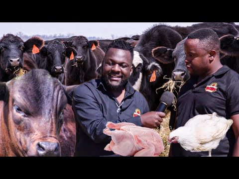 How Nyams Making Millions of dollars from farming in his rural home in murehwa | Documentary