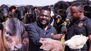 How Nyams Making Millions of dollars from farming in his rural home in murehwa | Documentary