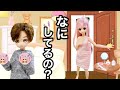 【ダミアニャ同棲if】アーニャの部屋で〇〇していた事がバレてしまうダミアン【修羅場】【SPY×FAMILY】
