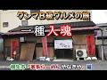 【もはやダンジョン】知らなきゃ辿り着けない“一種入魂”の家系らーめん やなぎや編