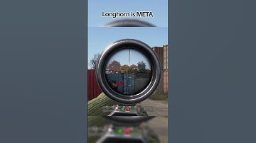 Longhorn is META in Dayz