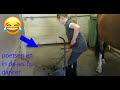 Lindsey vandaag poetsen en in de les met dancer op manege holzik stables lindseys paardenwereld