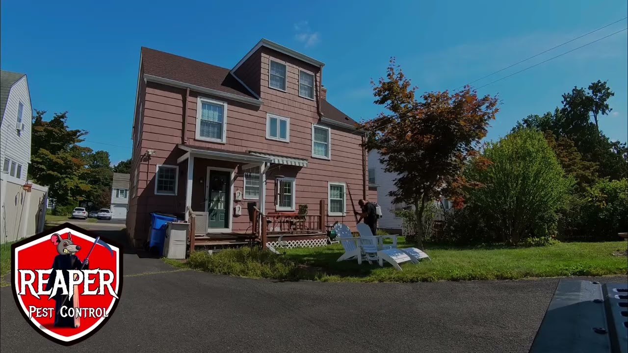 Wasp Treatment Flowzone Extension Pole Reaper Pest Control Newington Connecticut