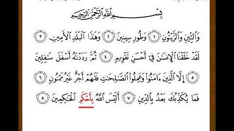 سورة التين القارئ محمد أيوب