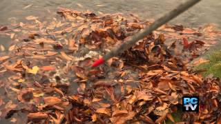 Puyallup reminds citizens about catch basin cleaning