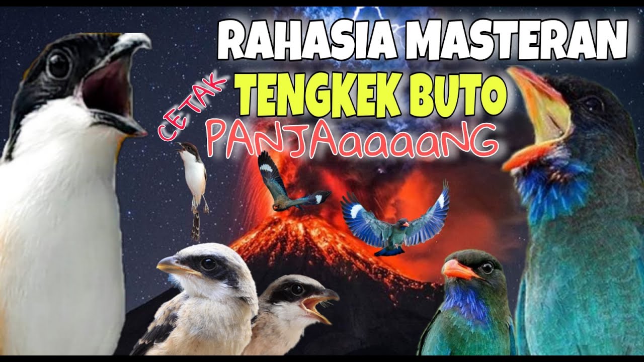 MASTERAN CENDET SPESIAL TENGKEK BUTO WERKUDORO FULL TEMBAKAN PANJANG RAHASIA AMPUH CETAK CENDET
