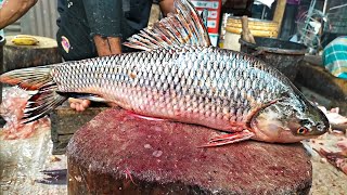 Super Tasty Big Rohu Fish Cutting Live In Fish Market Rohu Fish Cutting Skill