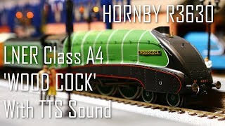 【鉄道模型】LNER クラスA4 'ウッドコック' + TTSサウンド【ロンドン＆ノース・イースタン鉄道】【DCC】