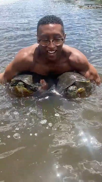 COOTER TURTLES! 🐢
