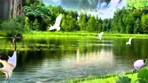 القارئ عبدالله عواد الجهني سورة هود