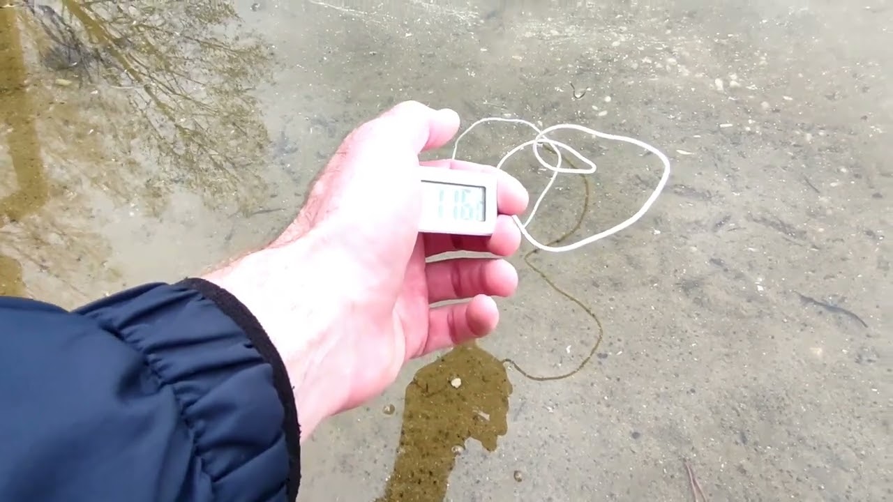 Майский заплыв в озере