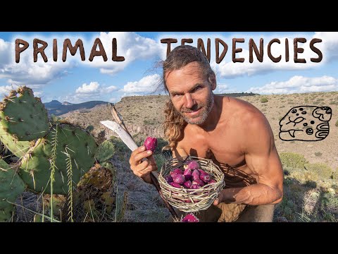 Primitive Tools to Safely Harvest Prickly Pear Fruit (episode 18)