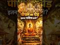 पीपल का पेड़ क्यों पवित्र #shorts #Explore #Peepal #BodhVriksh #भगवानबुद्ध #शिव #विष्णु #kunyal