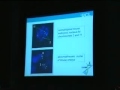 Ms. Aisha Elaimi s Non invasive assessment of human preimplantation embryo in CEGMR Conference 2 2