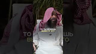Убийство муравьев и пчел | шейх Халид аль-Фулейдж