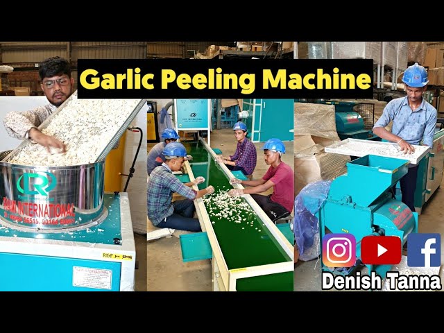 Customizable Garlic Peeling Processing Machine Line