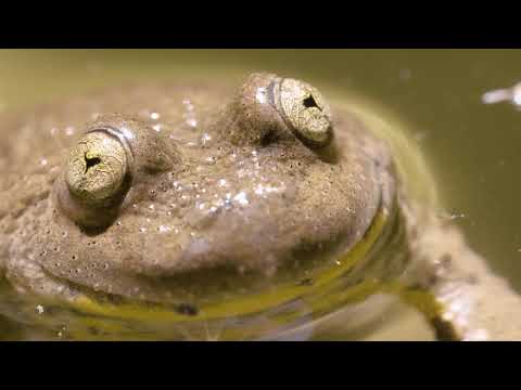 Eau et biodiversité : un duo pour la vie - Agence de l'eau RMC