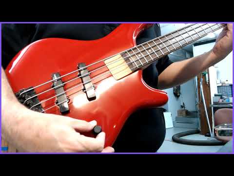 mark-vinciguerra-demo's-washburn-bass-(sold!)