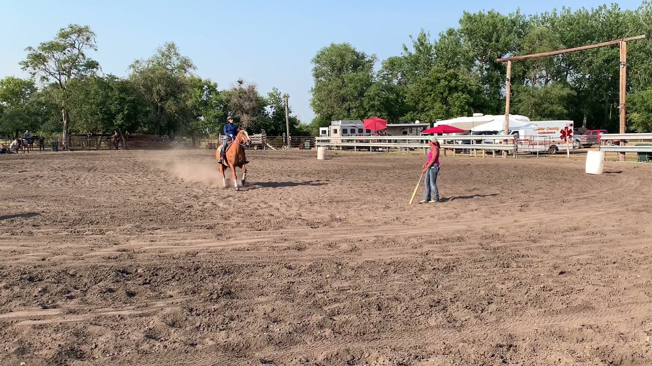 08/08/2021 - Dizzy Bat Race - YouTube