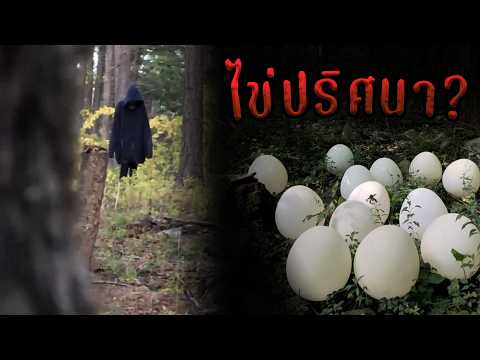 บ้านแปลก? Part 2 End? (เรื่องหลอนบนทวิตเตอร์) Gregory88