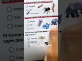 Animal-Quiz #quiz #quiztime #quizchallenge #quizanimal #quiztest