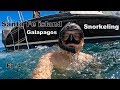 Top snorkeling spots in the Galapagos - Santa Fe island