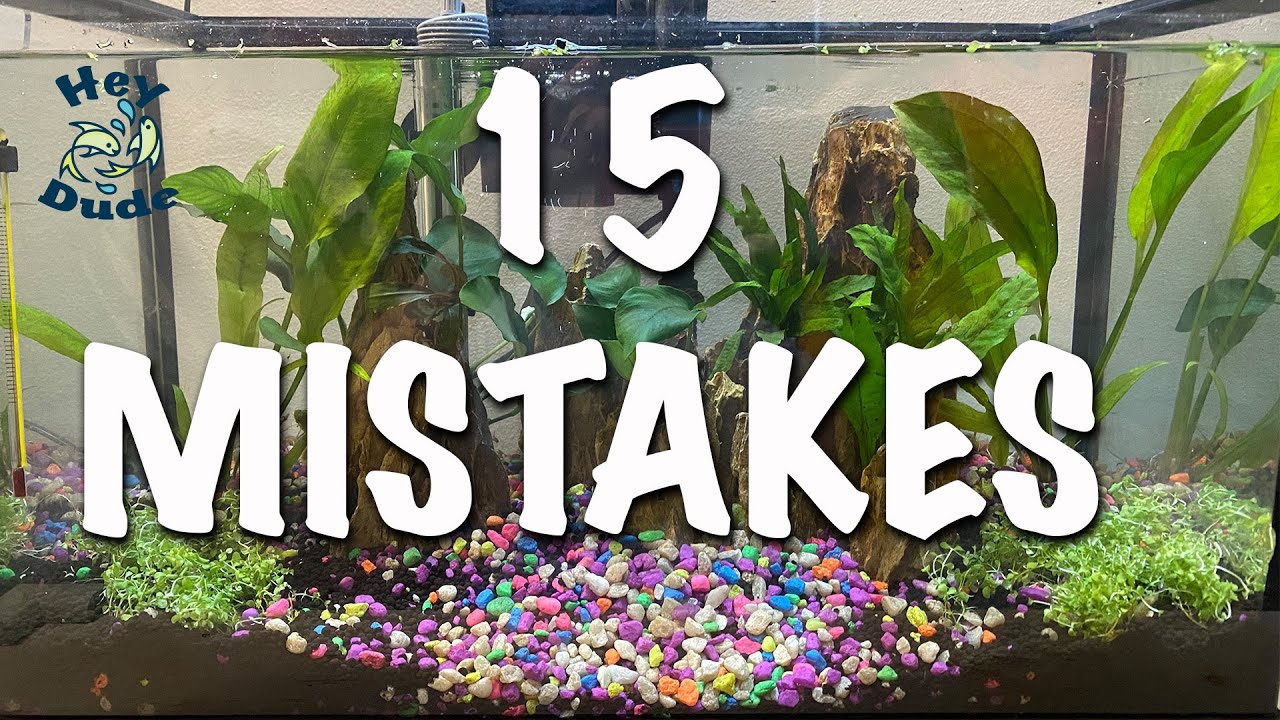 15 mistakes starting my aquariums YouTube