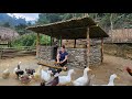 Building Stone Houses &amp; Bamboo Roof For Ducks 2024 - Farm Life, Animal