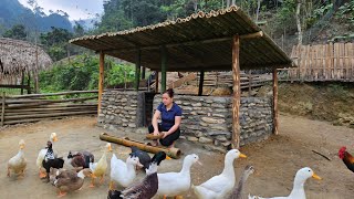Building Stone Houses Bamboo Roof For Ducks 2024 - Farm Life Animal
