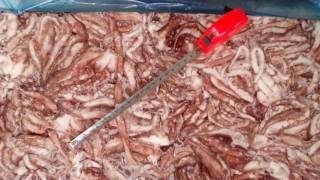 Щупальца кальмара Акрос Щупальца кальмара Акрос