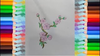 flower drawing and coloring pages - How to draw Cherry Blossom