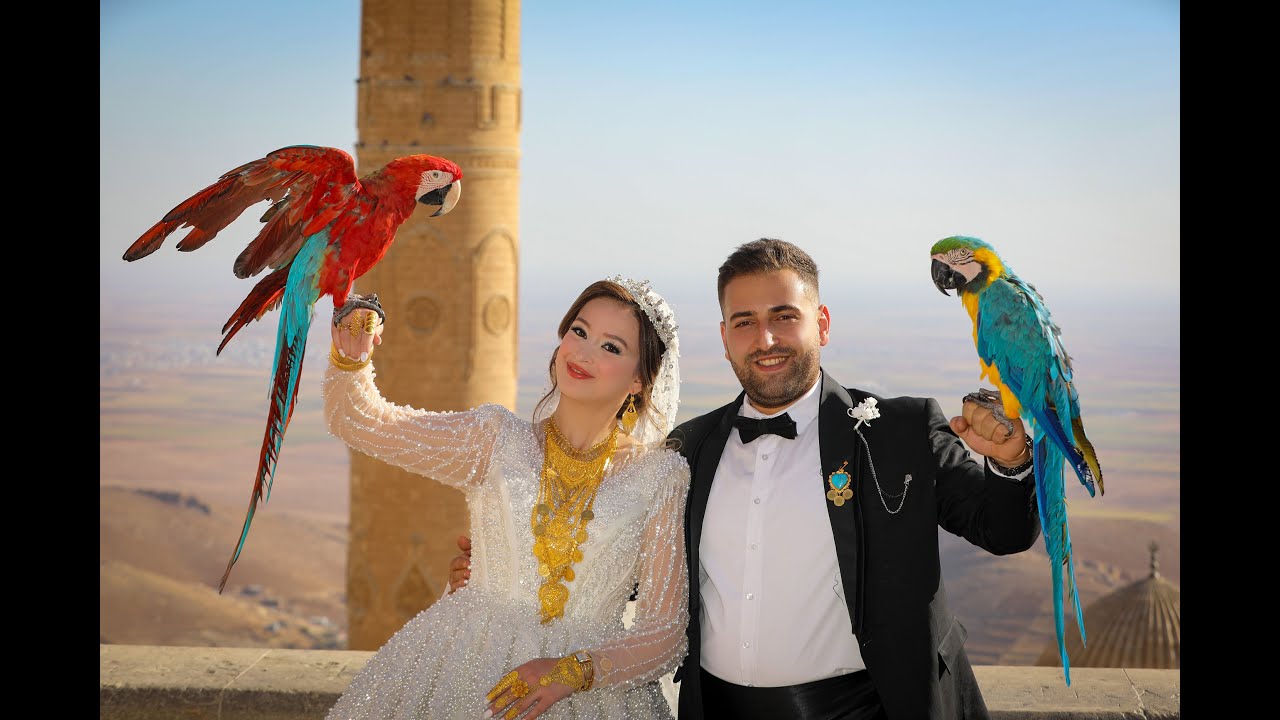 Hüseyin & Nergiz #kurdish #uludere #düğün #wedding #şırnak #aşiret #goyanaşireti #aşiretdüğünleri