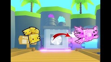 Best Fuse Method In Pet Simulator X