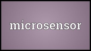 Microsensor Meaning