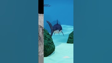 Shark 3D VFX breakdown.