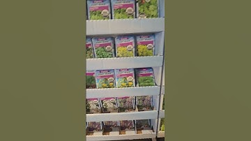 What’s growing in your garden this year? 🌱✨ Are you planning your garden yet? What herbs are you