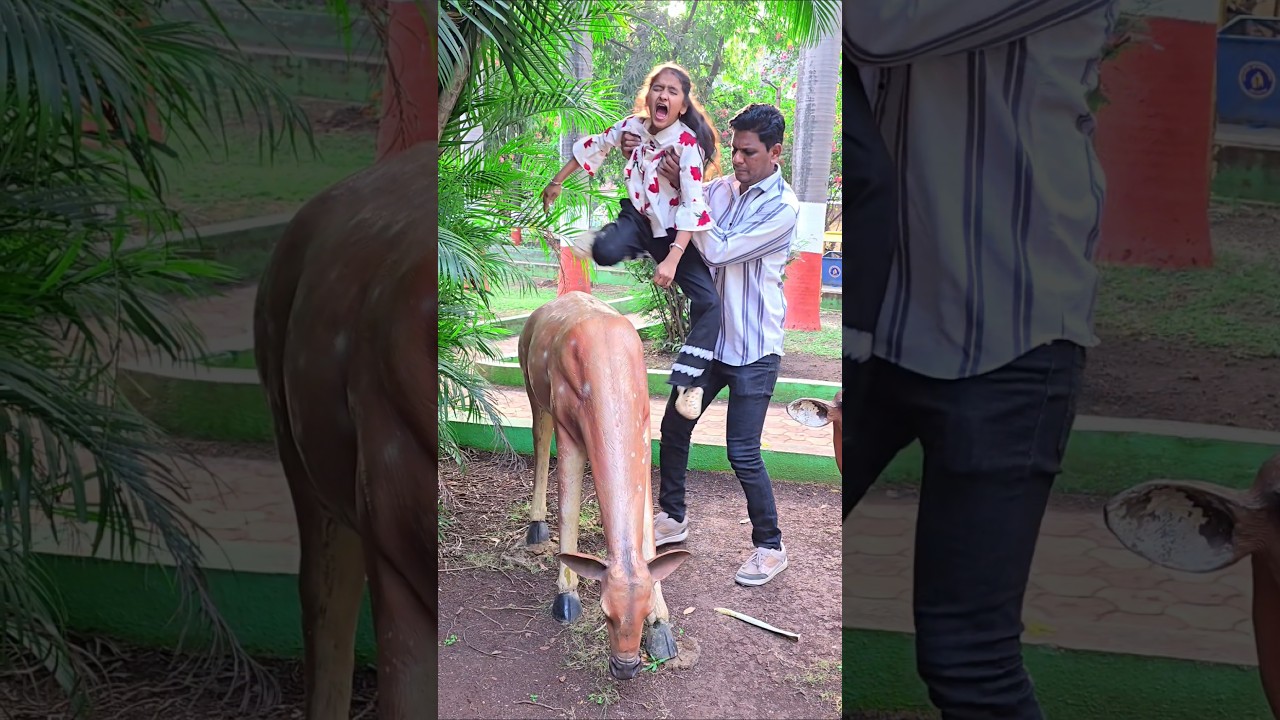 Animal's 🦏 🦌 🐅 Prank 🤣 